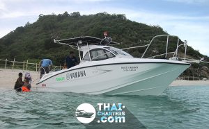 Yamaha Challenger Рыбацкий спидбот