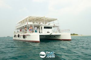 «Veles» моторный катамаран