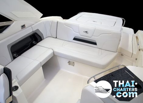 The new high-speed motorboat named Alex is a Monterey 328SS yacht - both cozy and luxury inside and out!